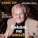 Čekání na smích (audiokniha)