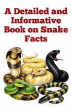 A Detailed and Informative Book on Snake Facts