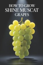 How to Grow Shine Muscat Grapes