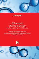 Advances in Hydrogen Energy - Production, Storage, and Utilization