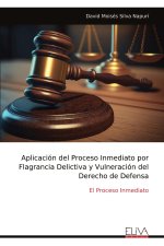 Aplicación del Proceso Inmediato por Flagrancia Delictiva y Vulneración del Derecho de Defensa
