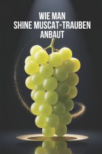 Wie man Shine Muscat-Trauben anbaut