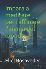 Impara a meditare per raffinare l'anima del mondo