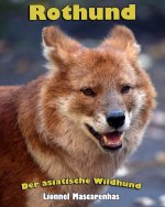 Rothund