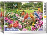 Gartenvögel Treffen