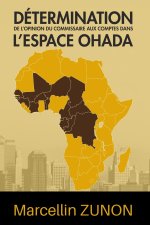 Détermination de l'opinion du commissaire aux comptes dans l'espace OHADA