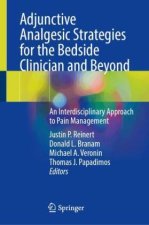 Adjunctive Analgesic Strategies for the Bedside Clinician and Beyond