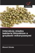 Interakcja miedzy bakteria Rhizobium a grzybami mikoryzowymi