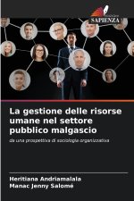 La gestione delle risorse umane nel settore pubblico malgascio