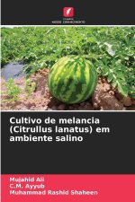 Cultivo de melancia (Citrullus lanatus) em ambiente salino