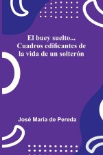 El buey suelto... Cuadros edificantes de la vida de un solterón