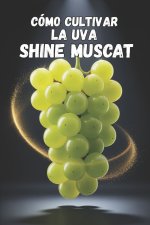 Cómo cultivar la uva Shine Muscat