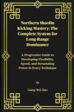 Northern Shaolin Kicking Mastery