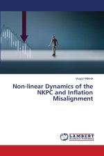 Non-linear Dynamics of the NKPC and Inflation Misalignment