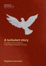 A turbulent story