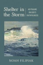 Shelter in the Storm