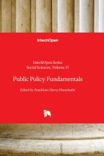 Public Policy Fundamentals