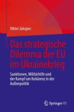 Das strategische Dilemma der EU im Ukrainekrieg