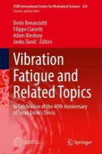 Vibration Fatigue and Related Topics