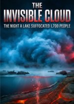 Invisible Cloud