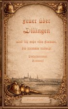 Feuer über Dillingen