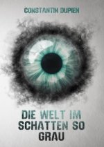 Die Welt im Schatten so grau