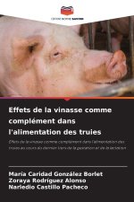 Effets de la vinasse comme complément dans l'alimentation des truies