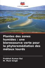 Plantes des zones humides : une bioressource verte pour la phytoremédiation des métaux lourds
