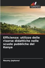 Efficienza