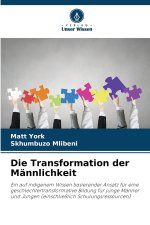 Die Transformation der Männlichkeit