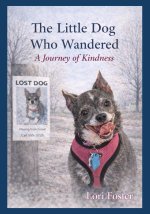 The Little Dog Who Wandered
