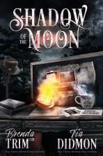 Shadow of the Moon