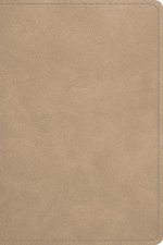 ESV Beholding Christ Bible