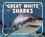 Great White Sharks