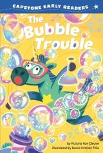 The Bubble Trouble