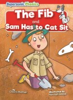 The Fib & Sam Has to Cat Sit
