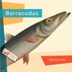 Barracudas