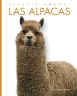 Las Alpacas