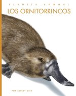 Los Ornitorrincos