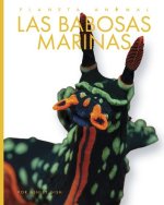 Las Babosas Marinas
