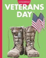 Curious about Veterans Day