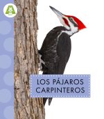 Los Pájaros Carpinteros