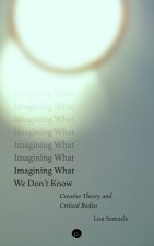 Imagining What We Don't Know
