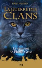 La Guerre des clans HS - Tome 13