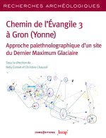 RA 30 - Chemin de l'Évangile 3 à Gron (Yonne) - Approche palethnolographique d'un site du Dernier Maximum Glaciaire