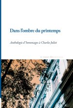 Dans l'ombre du printemps