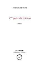 7ème pièce du château