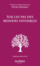Sur les pas des mondes invisibles