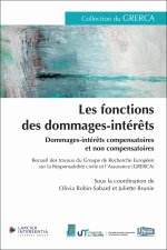 Les fonctions des dommages-intérêts - Dommages et intérêts compensatoires et non compensatoires