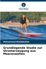 Grundlegende Studie zur Stromerzeugung aus Meereswellen
